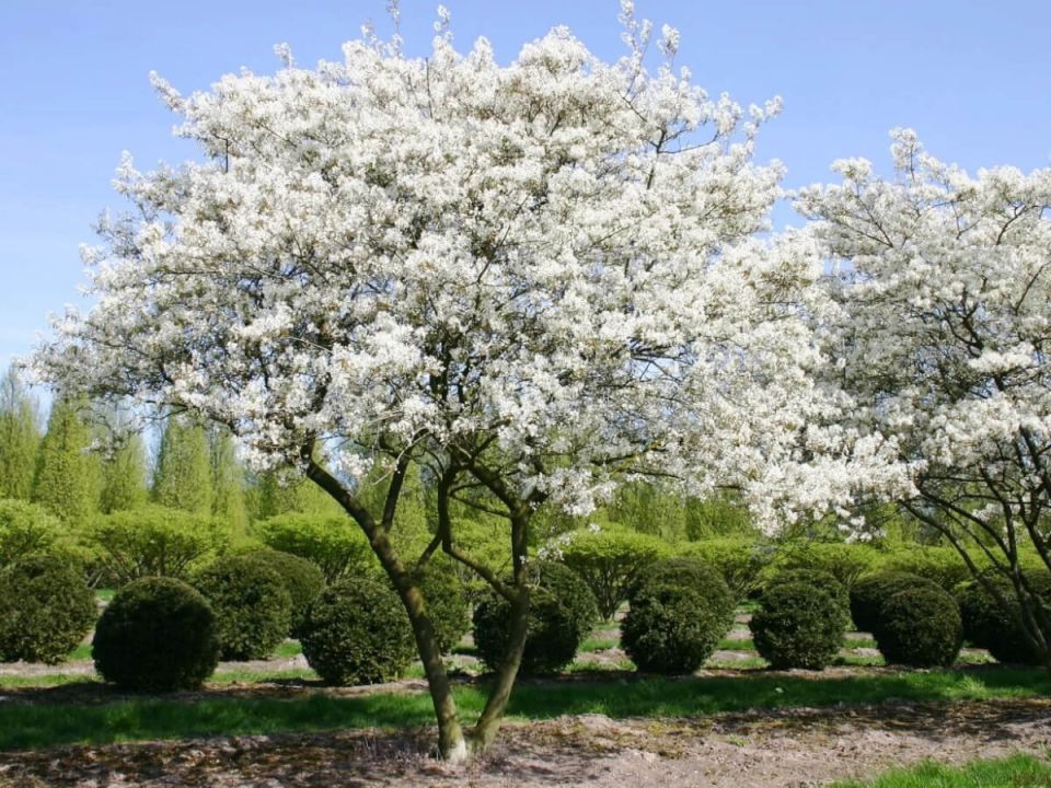 ��� ������� ��������� ��� �����: ��������� �������� ��� ������ �������