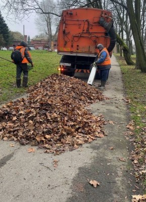 ����� ����������� ������ ������� �� ���� ��������, ��� ��������� �������������� �������������� ������ �� ������ ������ � ����, � ����� ��� ������ ��������� ����� ������