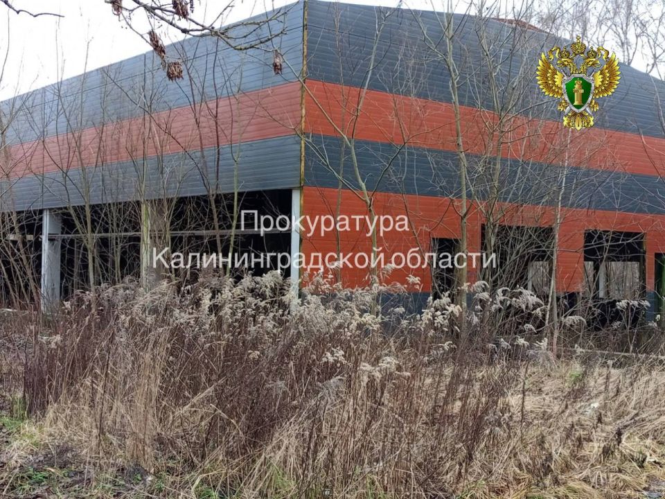 �� ���� ��������� ������ �������� ��� ������ ����������� ���������� ���������� ������������� �������