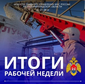 Подводим итоги. За прошедшую неделю на территории Калининградской области произошло 54 пожара