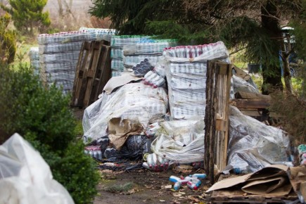 Как в Калининграде не допустить захламления в период новогодних праздников? В правительстве ответили