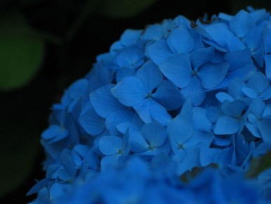 ��������� ������ � �������: ��� ����� �� �������� � ����������� �����?