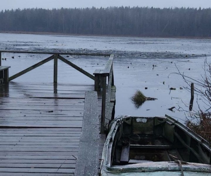 Калининградской области границу с Польшей сделали абсолютно заповедной