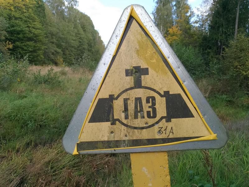 Литва согласилась дальше получать деньги за транзит газа до Калининграда