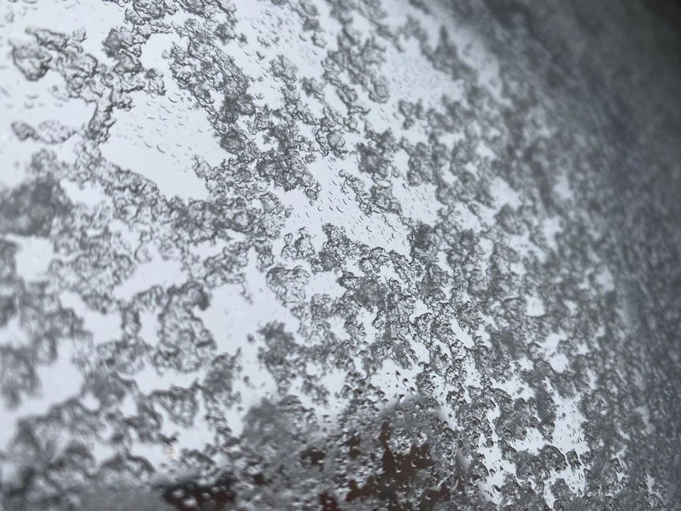 ��� ������������� �� ������� ������ � ��������������� ������� � ���� �� 31 �������