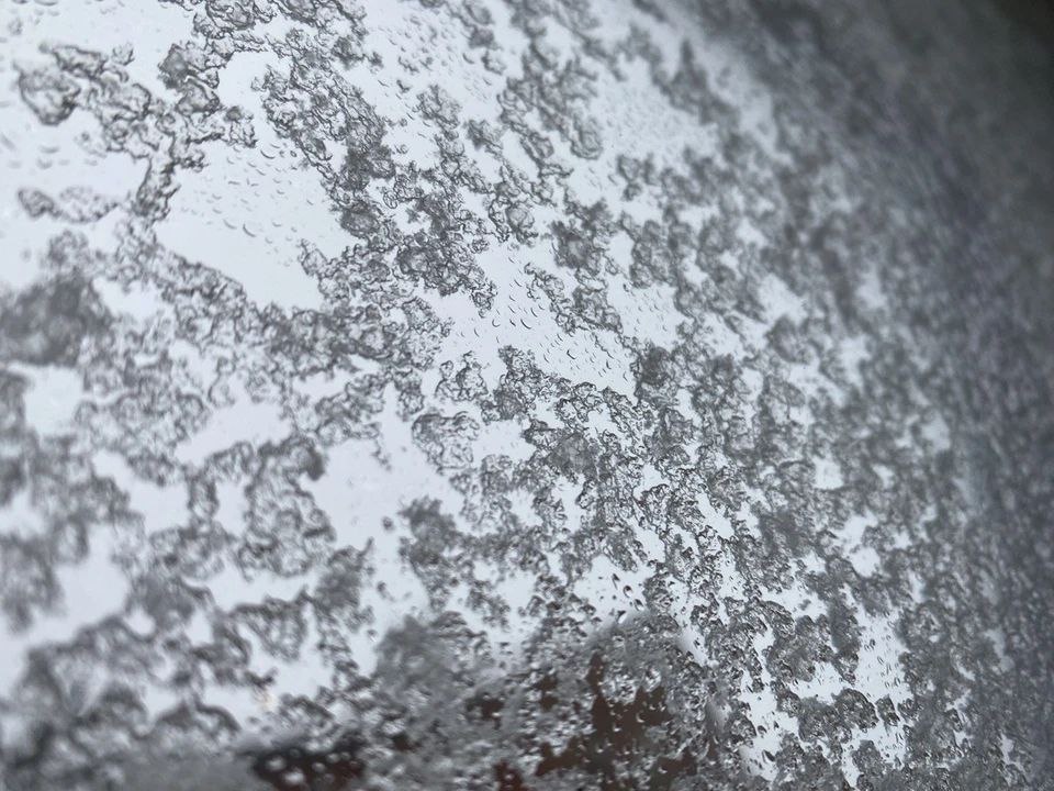 МЧС предупреждает об опасной метели в Калининградской области в ночь на 31 декабря