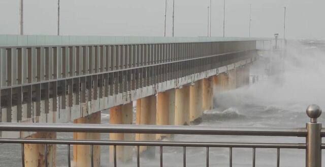 «Стихия разбушевалась»: В Зеленоградске ветер валит деревья