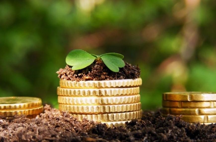 Как льготникам снизить земельный налог до нуля: важные нюансы и шаги