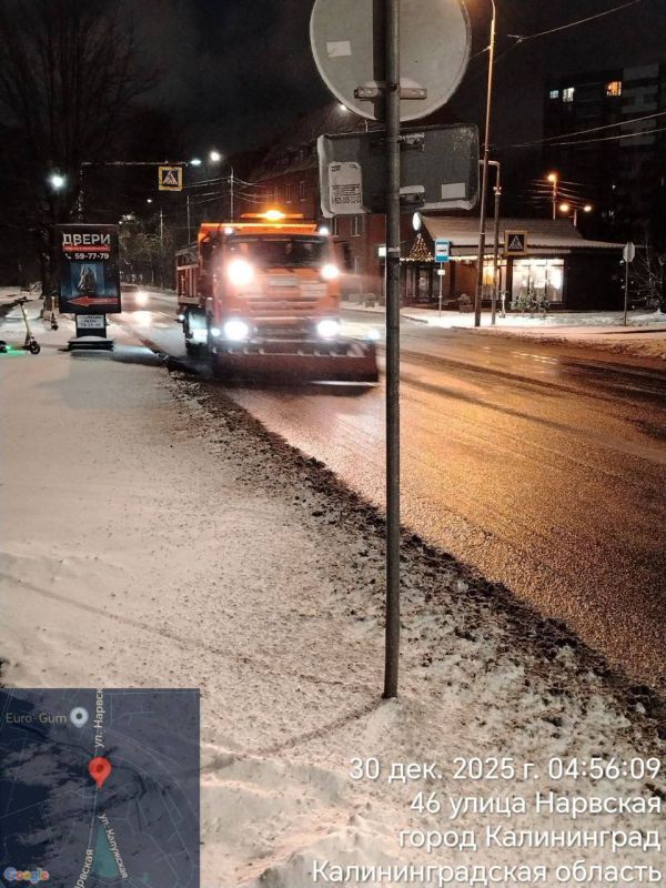 Дятлова рассказала о неспавших ночью в Калининграде