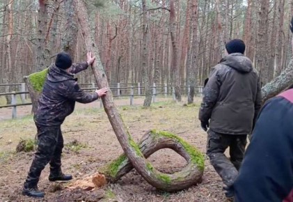 ��������� ����� ������� ������� �������� ���������� ����