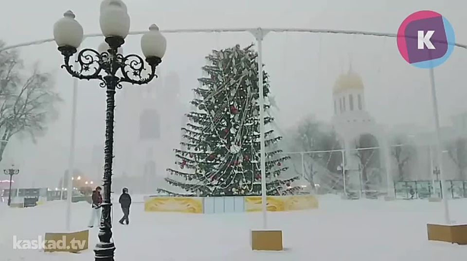 Ветер обломал макушку главной ёлки Калининграда