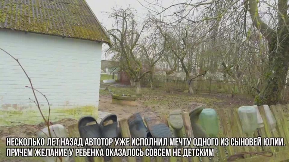 Корова Майя и новогоднее чудо: как АВТОТОР снова помог семье из села под Неманом