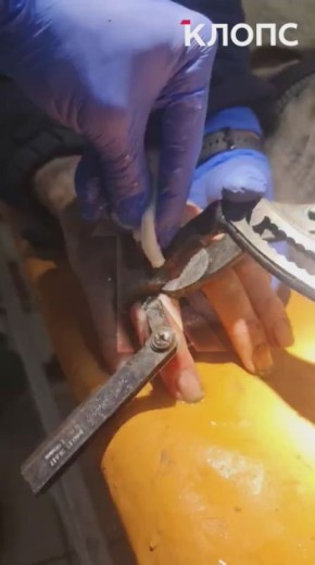 ������ ��� ��������: � ������������ ��������� ���������� ����� ������� �� �������� �����