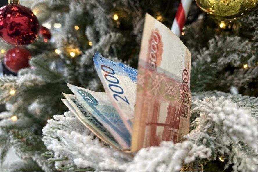 Госдума анонсировала новую поддержку для пенсионеров к Новому году