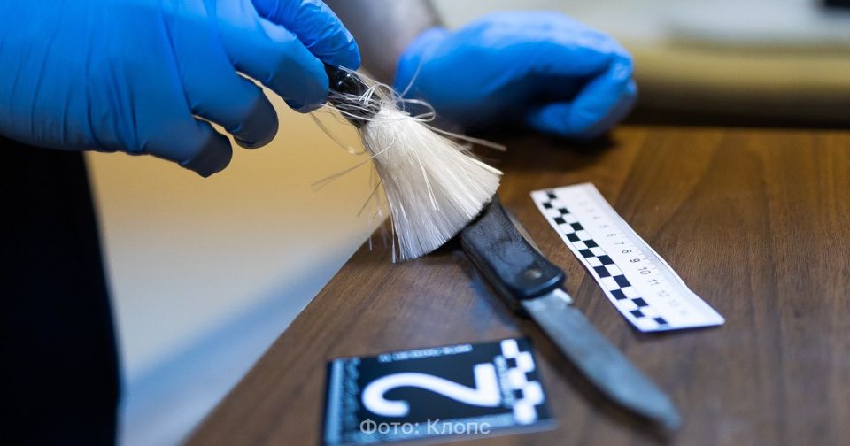 Убитый школьник и роды с летальным исходом: громкие ЧП и преступления, которые обсуждал Калининград в 2025 году