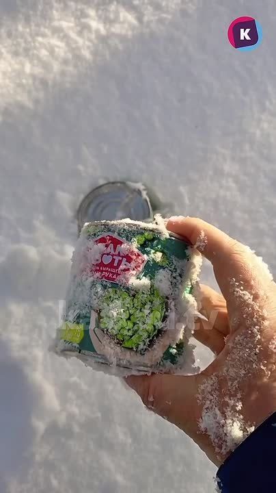 Шеф-редактор «Каскада» нашел волшебный лес, где можно найти ингредиенты для оливье