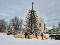 Задача Дятловой: на площади Победы в Калининграде восстанавливают ёлку