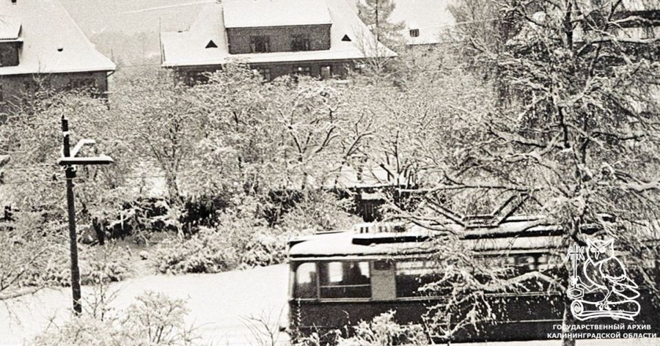 В госархиве показали, как выглядел заснеженный Калининград в 1970-е годы
