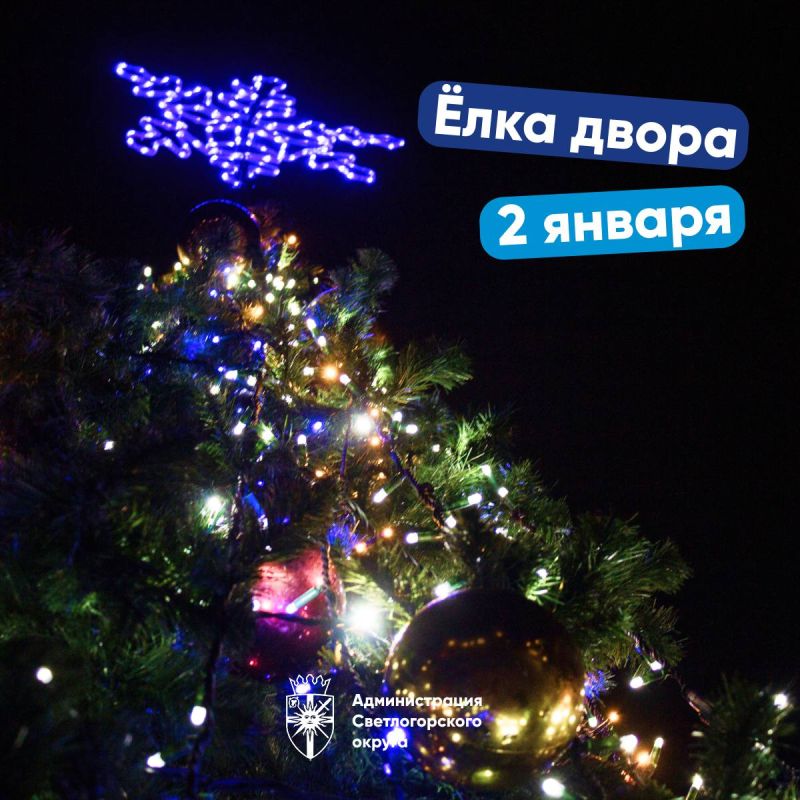 В Светогорске пройдет празднование «Елка двора»