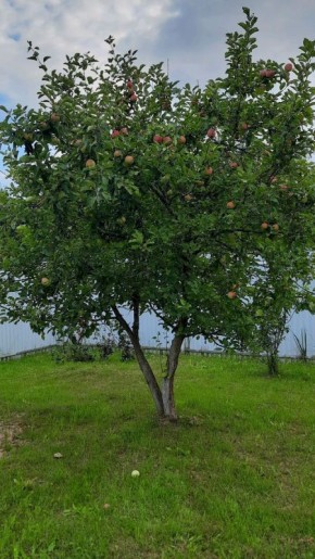 ��� ��������� ������� ����� ��� ������: ������ ������������