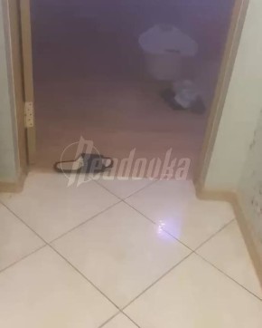 Прорыв трубы в Балтийске в новогоднюю ночь затопил квартиры с 8 по 1 этаж