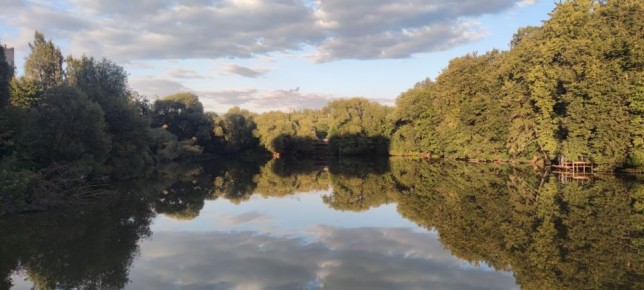 ��� ������ ������ ���������� ��������� ����: �� ��������� �� ��������