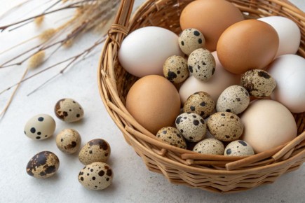 ������� ��� ����������� ����: ��� ������� ��������� ������� ��� ������ �����?