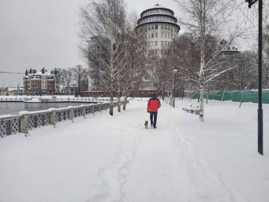 ��������������� ������� ������� ������