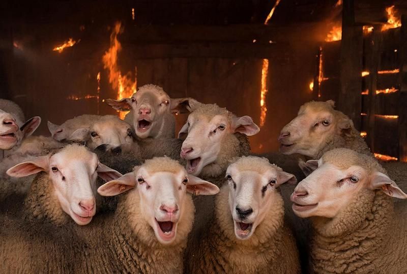 10 ������ ������� ������ ������� � �������������� ������