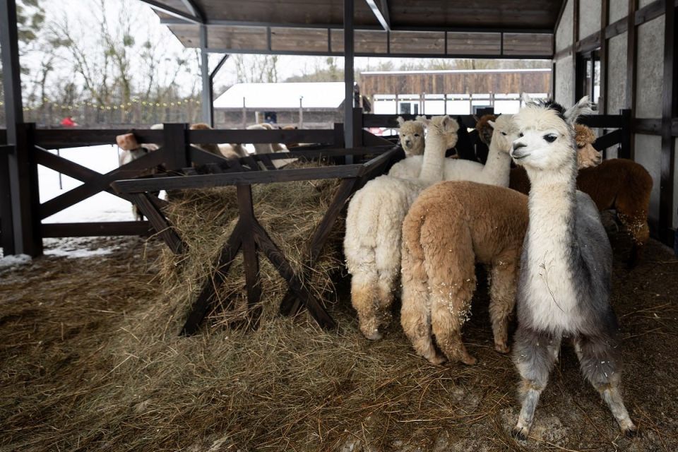 ��������� ���������: �� ���������� ����� ��������� � ��������� ������� ���� ������