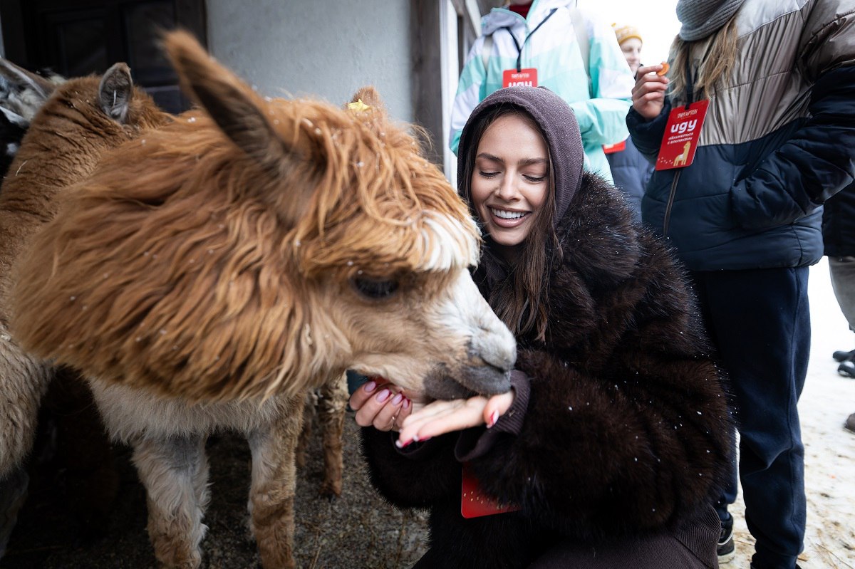 «Пушистые обитатели»: на территории замка Нойхаузен в Гурьевске открыли парк альпак «Пушистые обитатели»: на территории замка Нойхаузен в Гурьевске открыли парк альпак