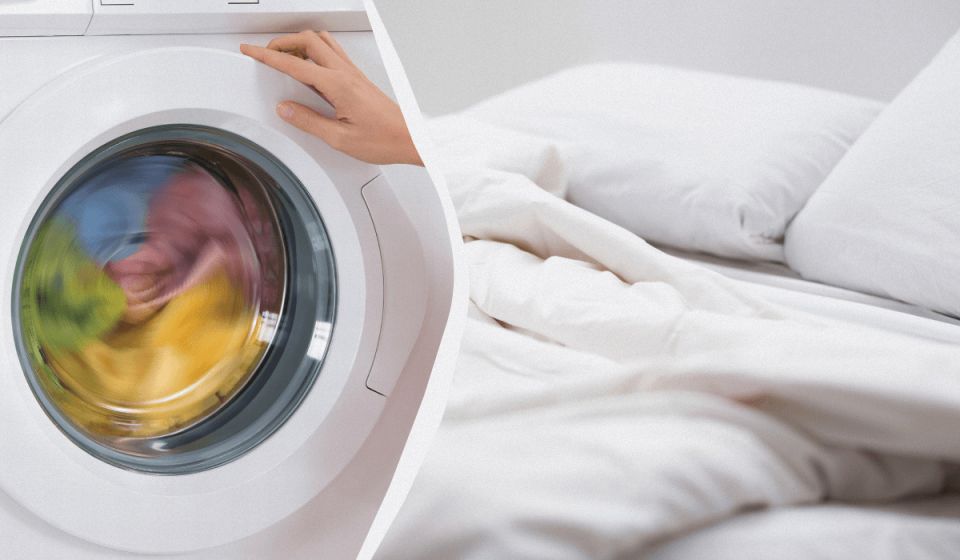 ����������� ������ �� ������ ������� �����