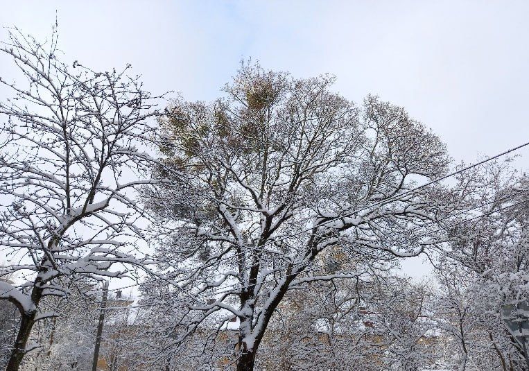 � ������������ ����� ������� �������� �����