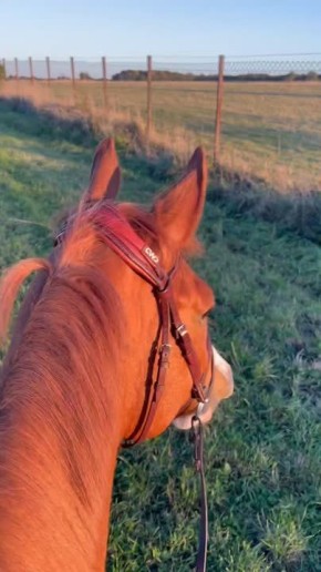 Символ города Какая грация! Какая природа!