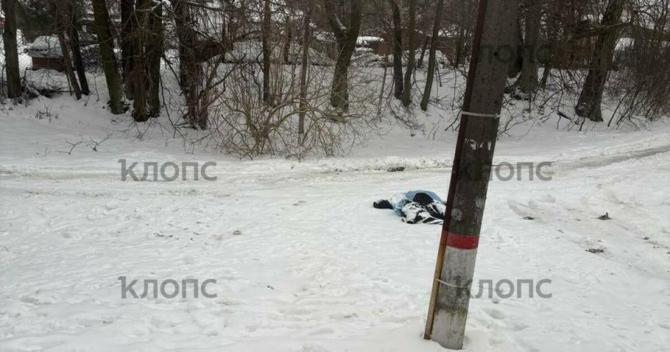 Шок и растерянность: пассажиры «Ласточки» до Светлогорска заметили лежащего без движения человека на станции (фото)