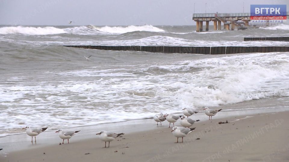 �� ��������� ���������������� ������ �� ����������������� � ����������� ���������� �����, ������� � ������� � 10:00-13:00 ��������� �������� ���-��������� ����� 12-15 �/�, ������� �� ��������� �� 20 �/�