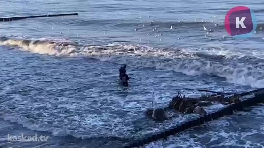 В Зеленоградске заметили ловцов янтаря