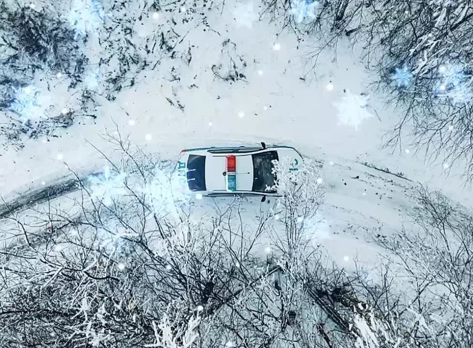 ���������������� ��������� ��������� ������������ ����� �������� � ������� �������� �������� � �������