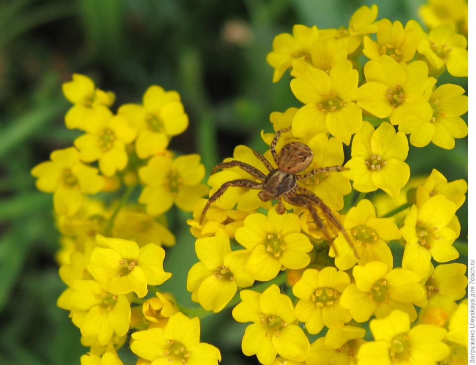 ��� ������������� � ��������� ����� �������� ��������� �������� �����