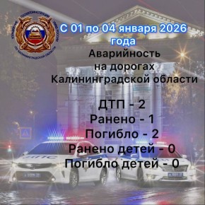 За период с 01 по 04 января сотрудниками Госавтоинспекции выявлено 488 нарушений Правил дорожного движения, в том числе: