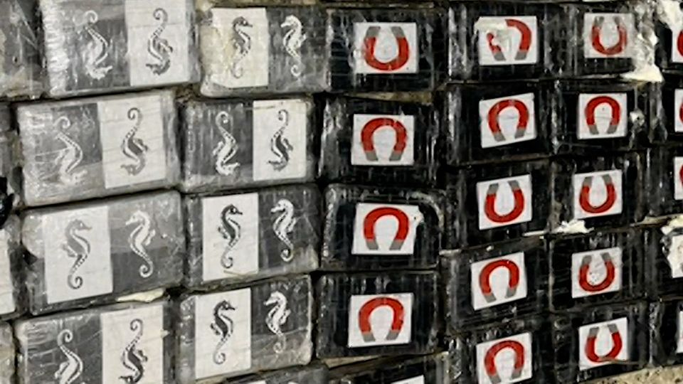 ������ �� 40 ����������� ������� ���������� ���������� ����������� ���������� ������ � ����������, ������������ �� ��������� ������� �������� ������