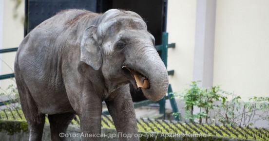 ������� ������ � ������ �� ���������: � �������� ������� ���������� � ������������ �������