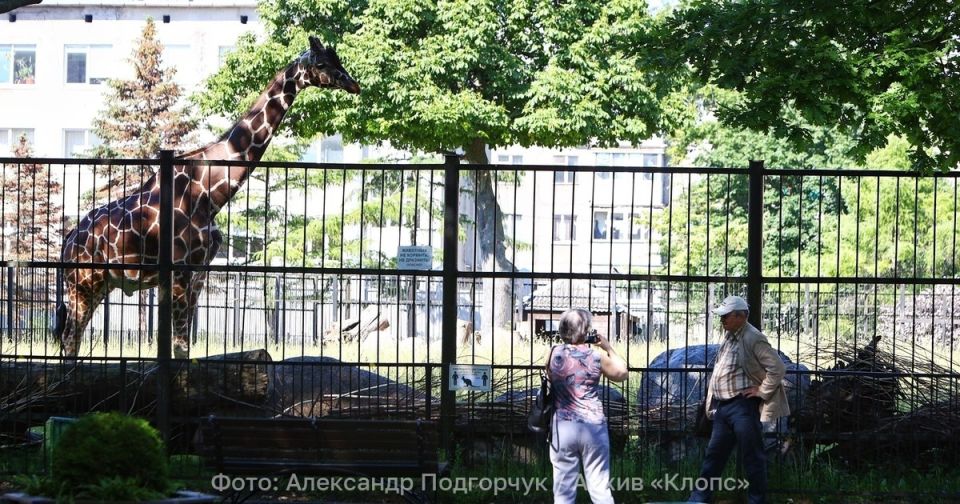 ����� ������� � ��� ������: � ��������������� �������� ���������� ������ ��������� �� ��������� ������