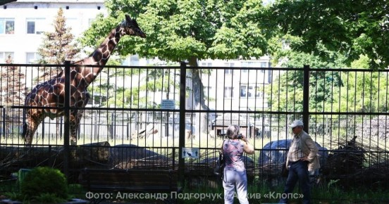 ����� ������� � ��� ������: � ��������������� �������� ���������� ������ ��������� �� ��������� ������