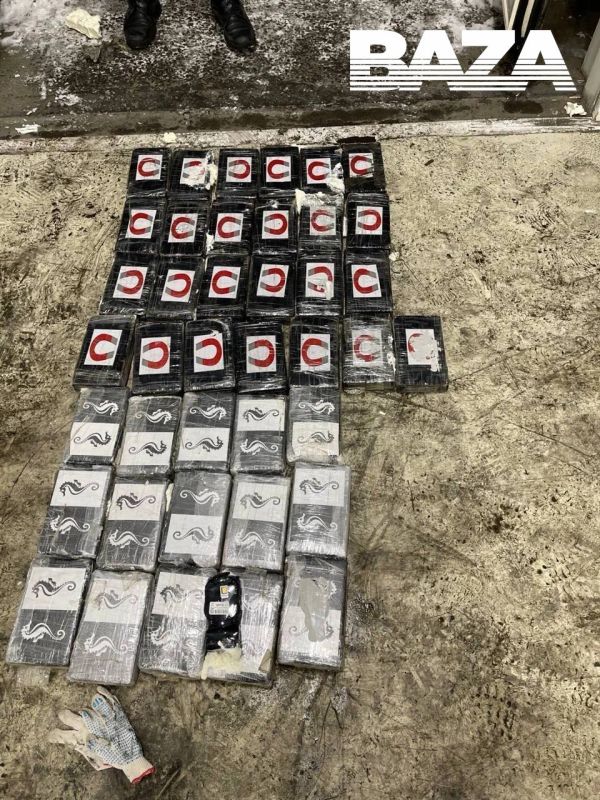 ������ ������� �� ��������� ������� ���������� 600 ��� ������ ��������� ���������� �����������