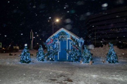 Еще можно успеть найти Деда Мороза в Калининграде