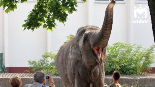 � ������� ������� ���������� �� ������� ��� ���������