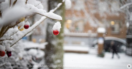 �����, �������� ����: ������ � ��������������� ������� � �����, 7 ������