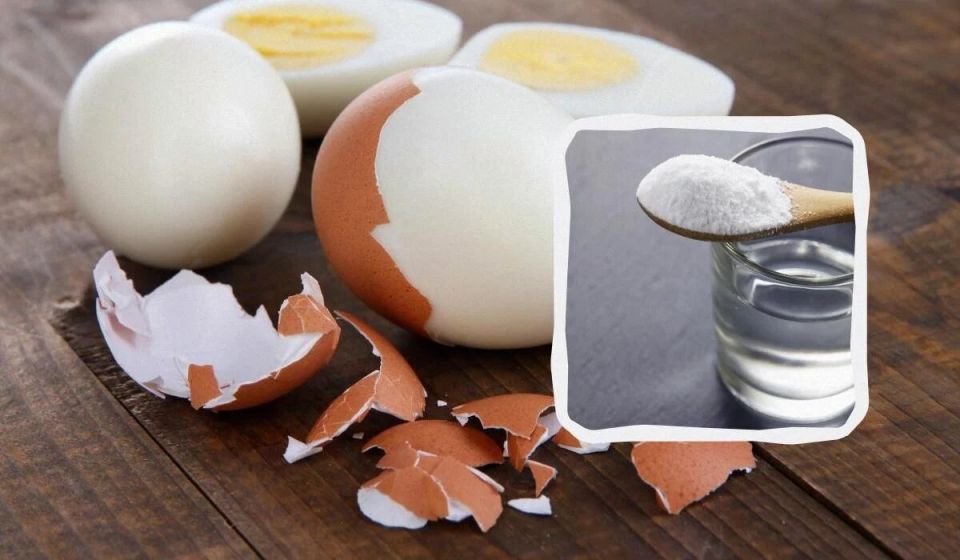 ��� ������� ���� ���, ����� ��� ���� ������� � ����� ���������