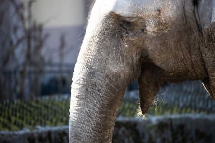 ����� ������� �� ����� ������� � ��������������� ��������